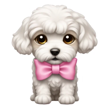 Schichon puppy pink bow sticker