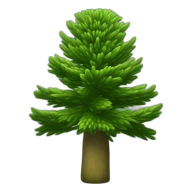 Araucaria columnaris sticker