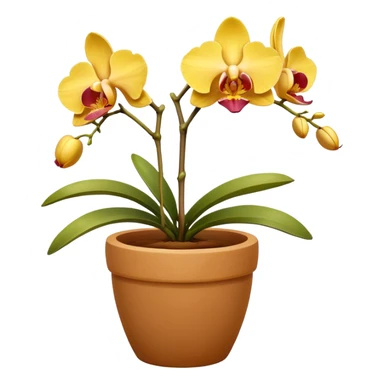 yellow Orchid in a clay pot sticker