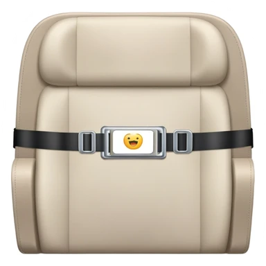 plane seat belt sticker