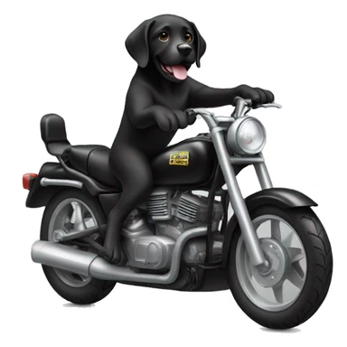 cool black lab riding motorbike sticker