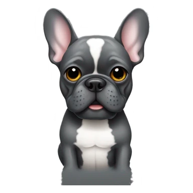 French bulldog full dark grey holding a beer sticker