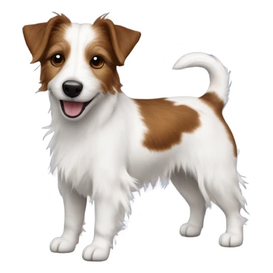 long hair jack russell dog  sticker