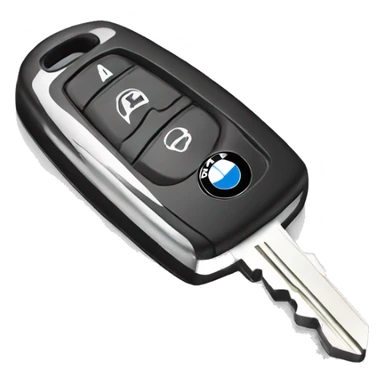 bmw car key sticker