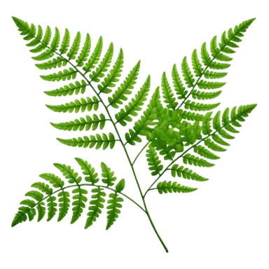 fern sticker