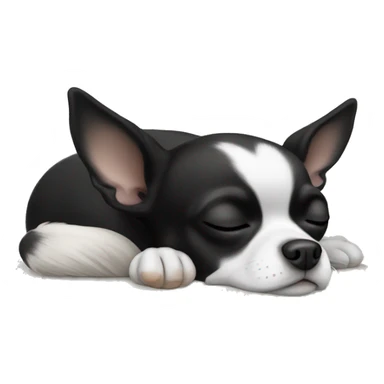 Black and white chihuahua sleeping  sticker