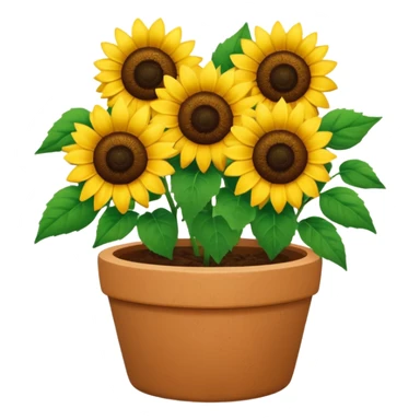 sun flowers in a clay pot sticker