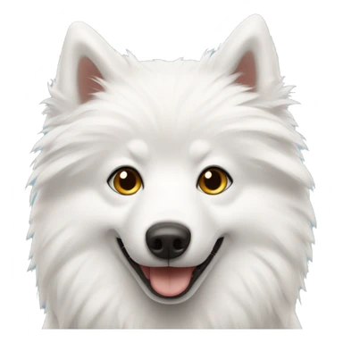 American Eskimo using iPhone sticker