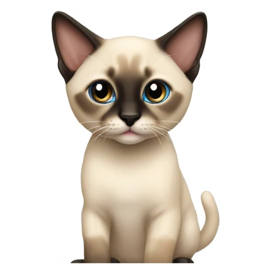 Young siamese mixed kitten sticker