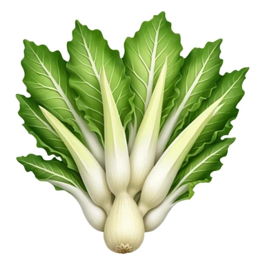Belgian endive sticker