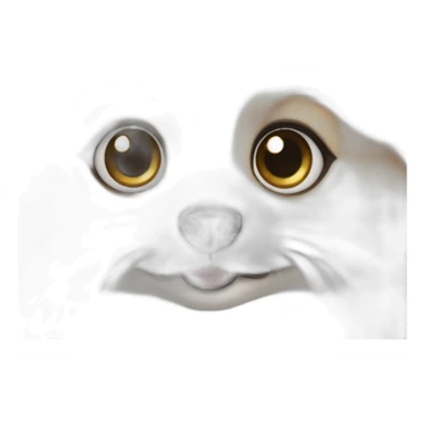 white Pomeranian puppy big eyes sticker