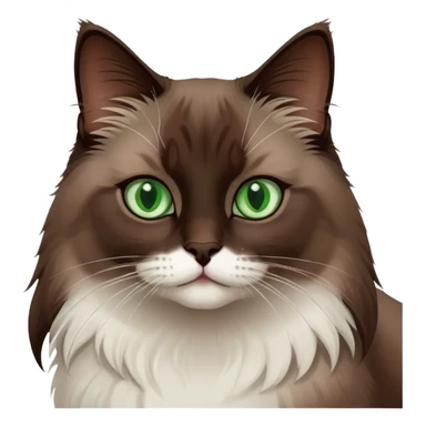 Dark Brown ragdoll cat with a white chest and green eyes sticker
