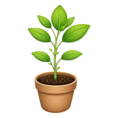 A small seedling plant sprouting, representing reproduction in plants sticker