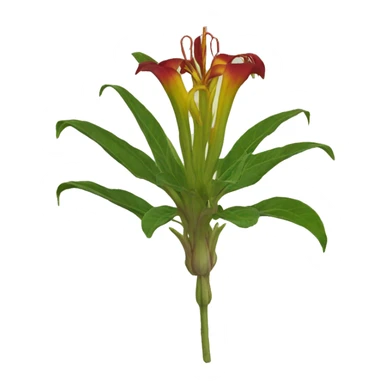 gloriosa superba sticker