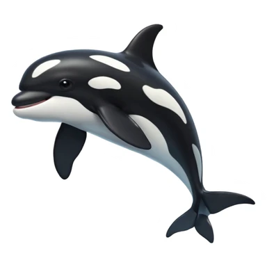 killer whale sticker