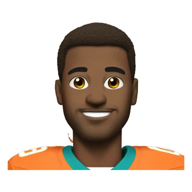 NFL Miami dolphins  sticker