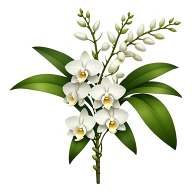 big bouquet white Dendrobium Orchid, stem, leaf sticker