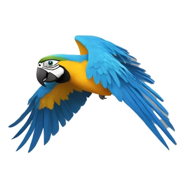 blue and yellow macaw flying  sticker