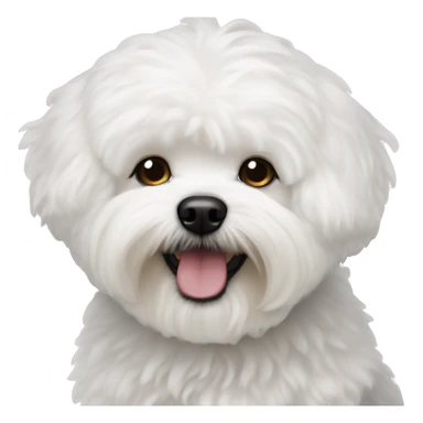 Bichon maltaise sticker