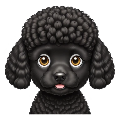 black Miniature poodle  sticker