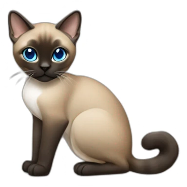 Khaki brown and black siamese Cat sitting down with blue eyes and white chin and white feet sticker