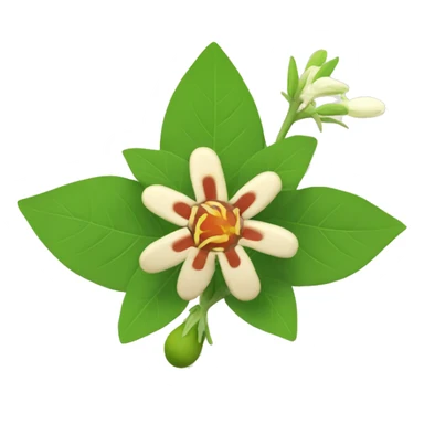ashwagandha with flower sticker