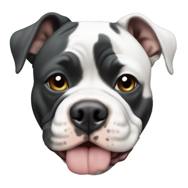 Black and white American pocket bully sticker