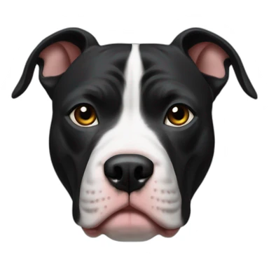 pitbull black tri with cropped ears sticker