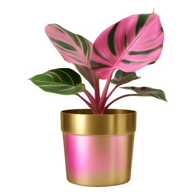 Philodendron pink princess in gold planter sticker