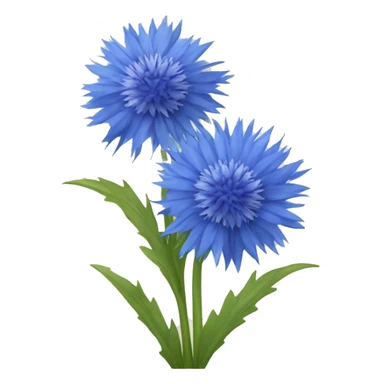 Cornflower sticker