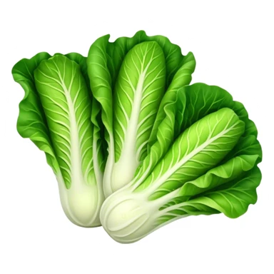 Romaine Lettuce sticker
