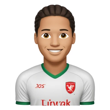 Football player Virgil van dijk empji sticker