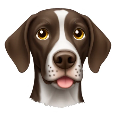 Brown German short haired pointer  with ticking sticker