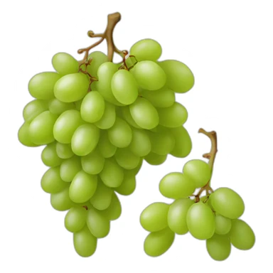 grapes fruit sticker