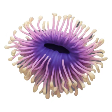 Sea anemone sticker