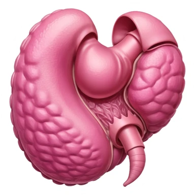 male reproductive organ sticker