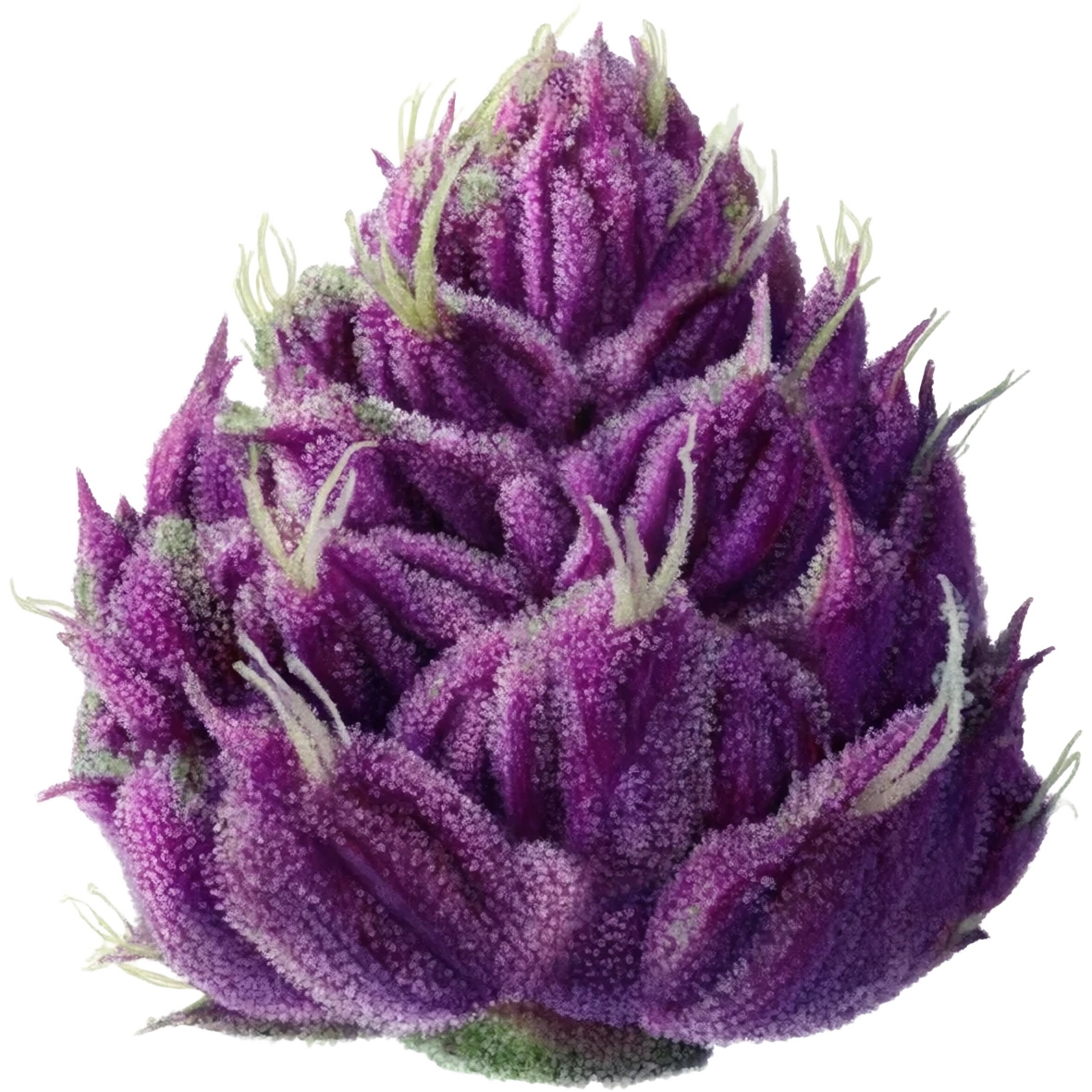 Purple weed nug emoji