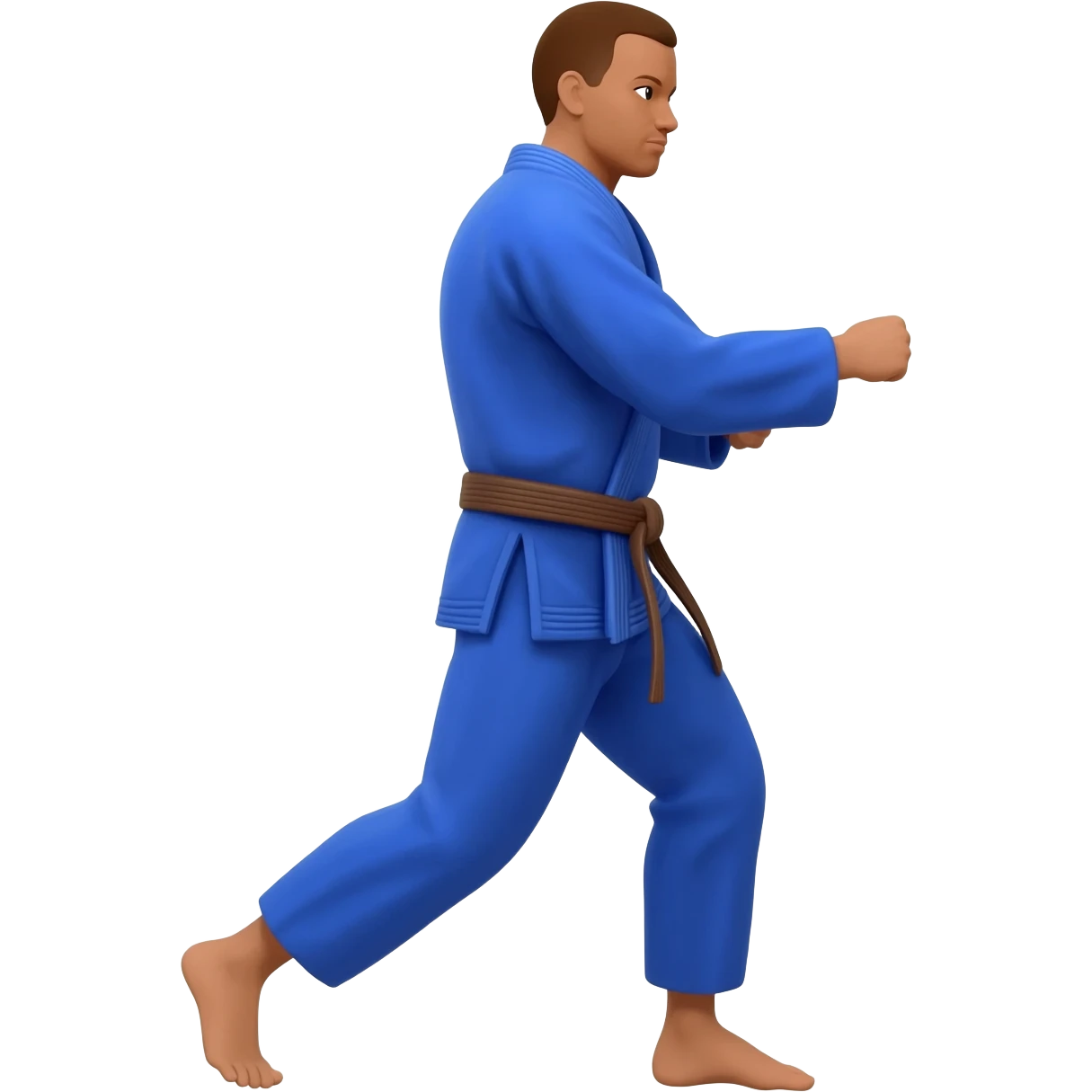 brazilian jiu jitsu emoji