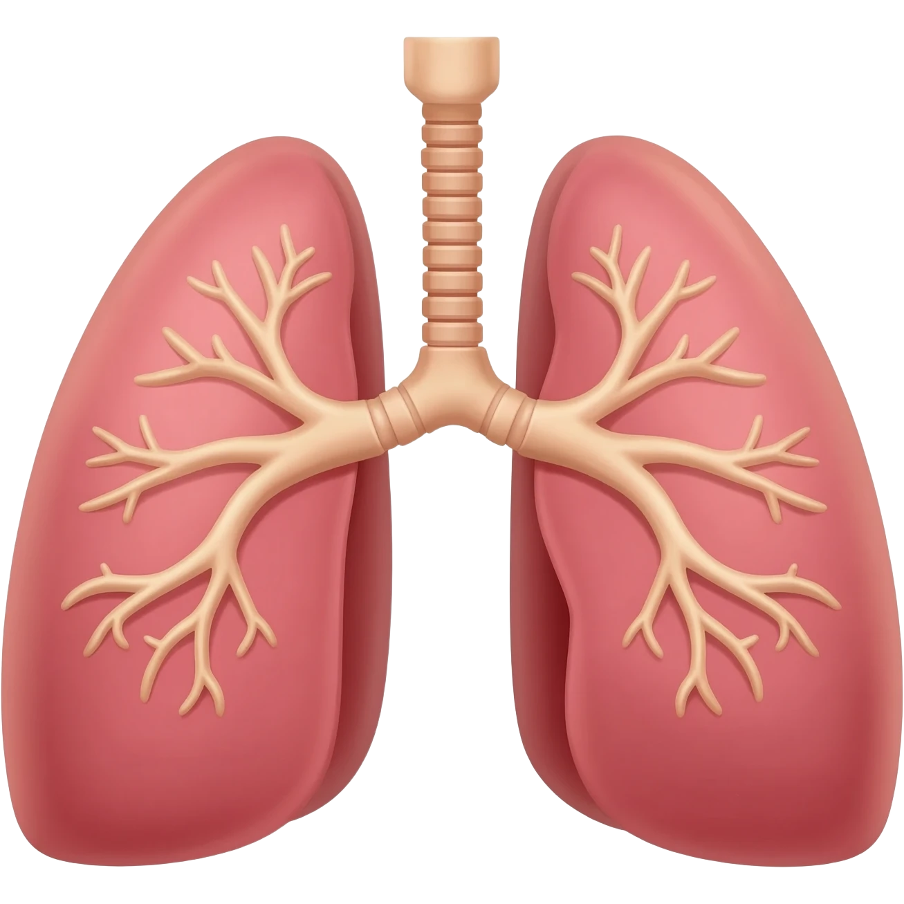 Pulmones humanos emoji