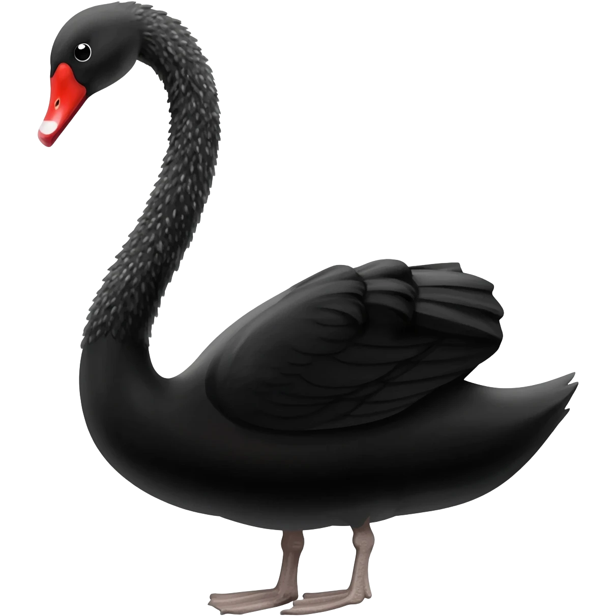 Black swan emoji emoji
