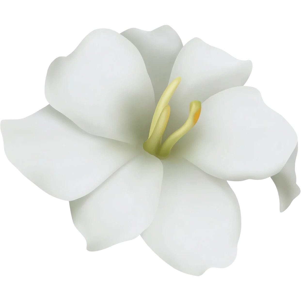 Night flowering jasmine imoji emoji