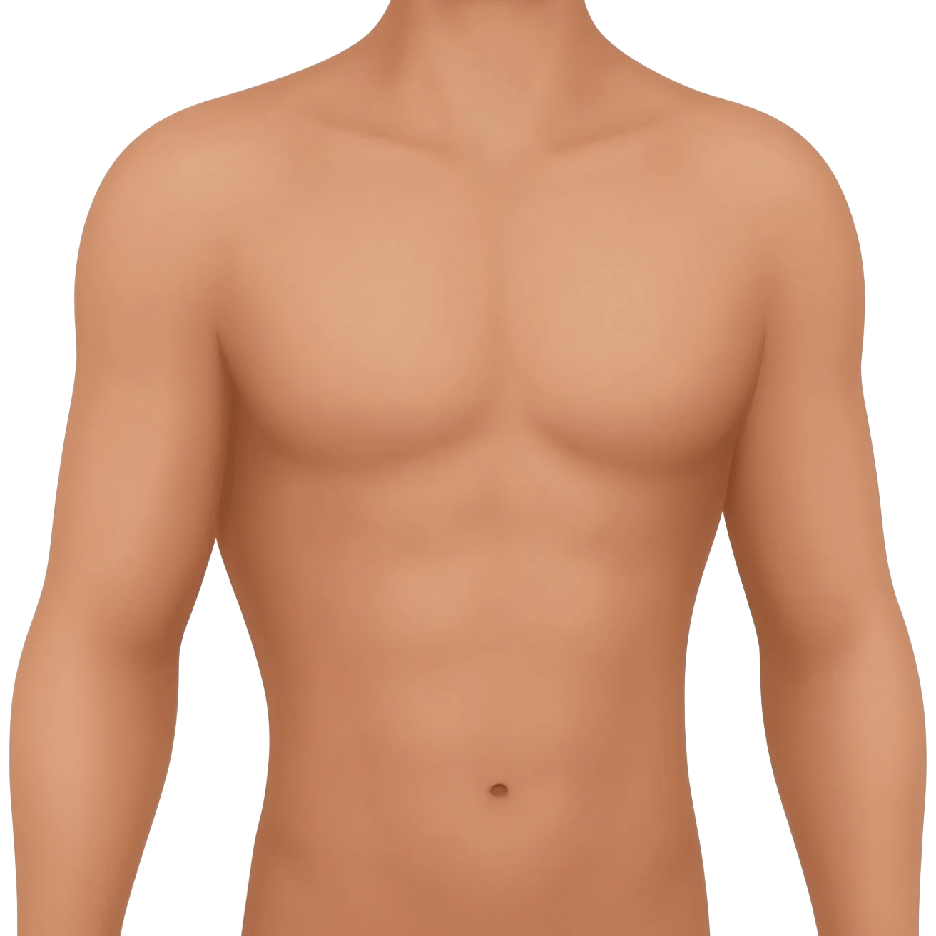 “Educational illustration of the trunk of the human body (chest and abdomen), simple anatomical drawing style for children, soft colors, white background, clear and clean design, children's educational book style, showing the chest and abdomen in a friendly and easy to understand way.” emoji