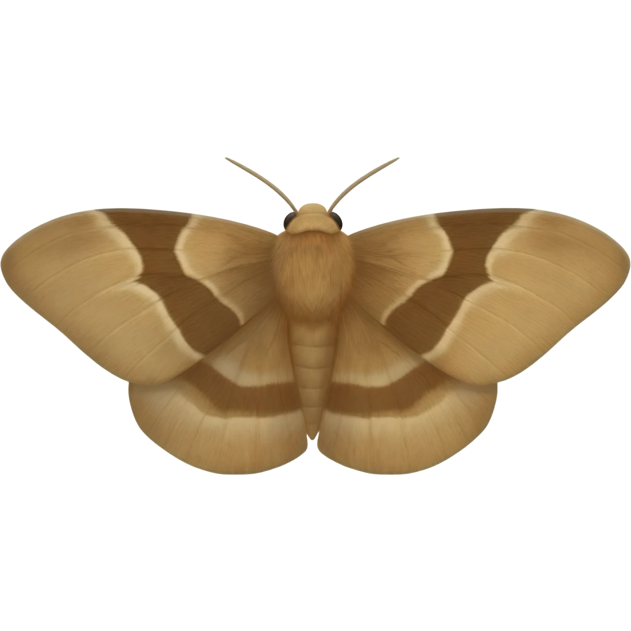 Moth emoji