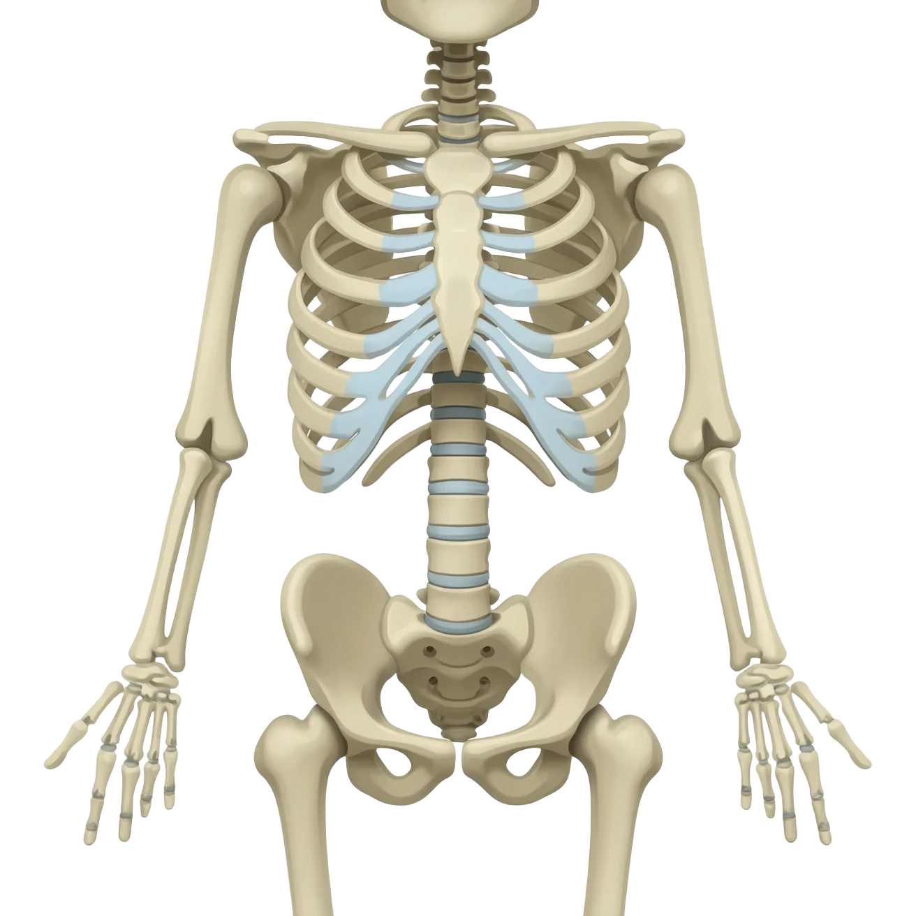Skeleton emoji