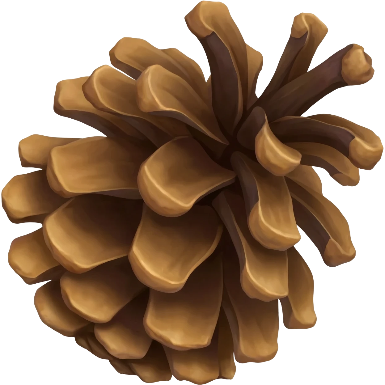 Pine cone emoji emoji