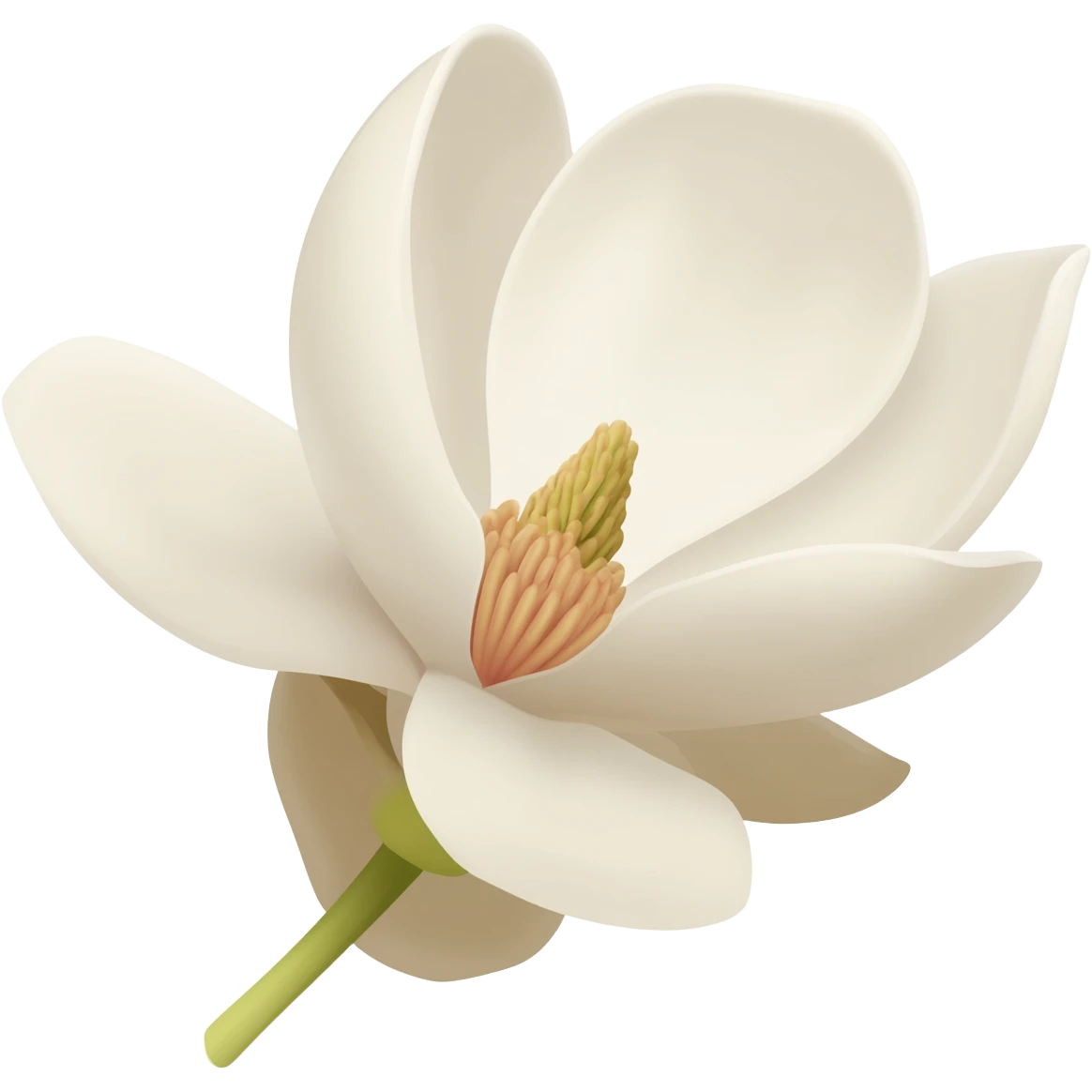 minimalist-magnolia-flower-with-soft-white-and-light-beige-petals-on-a-plain-white-background,-no-extra-details emoji