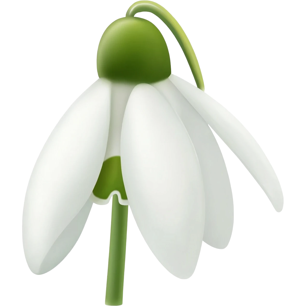 Snowdrop flower emoji