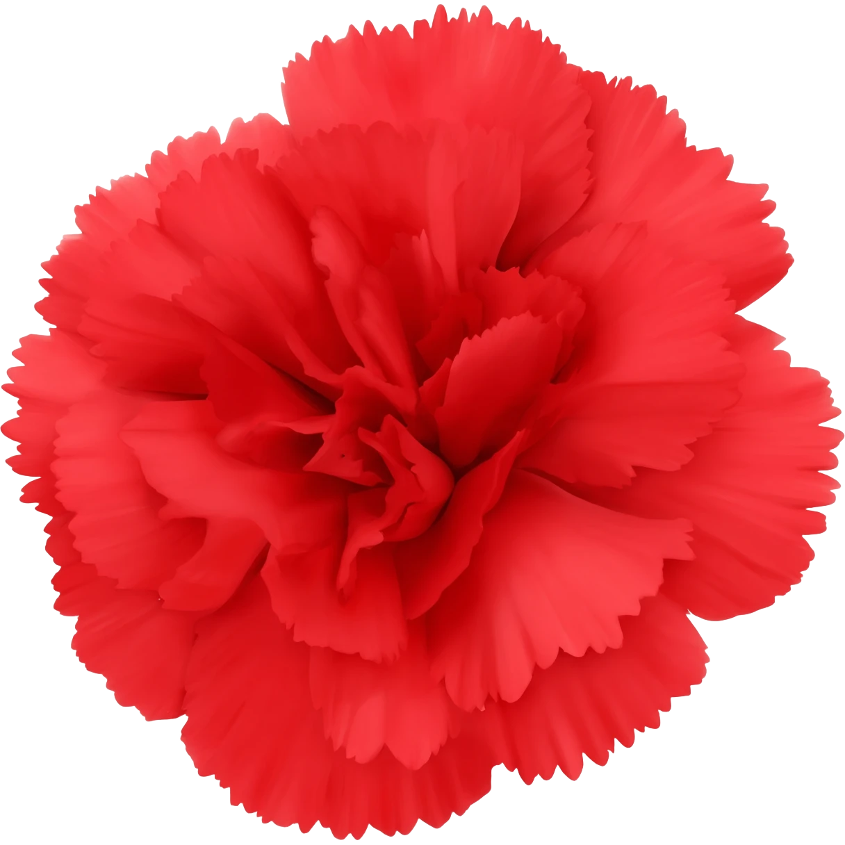 Red carnation emoji