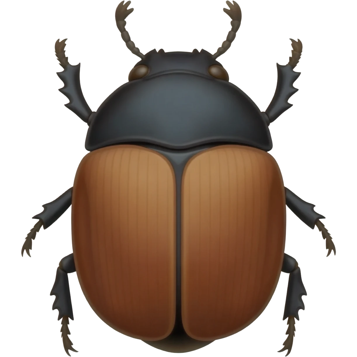 Beetle emoji