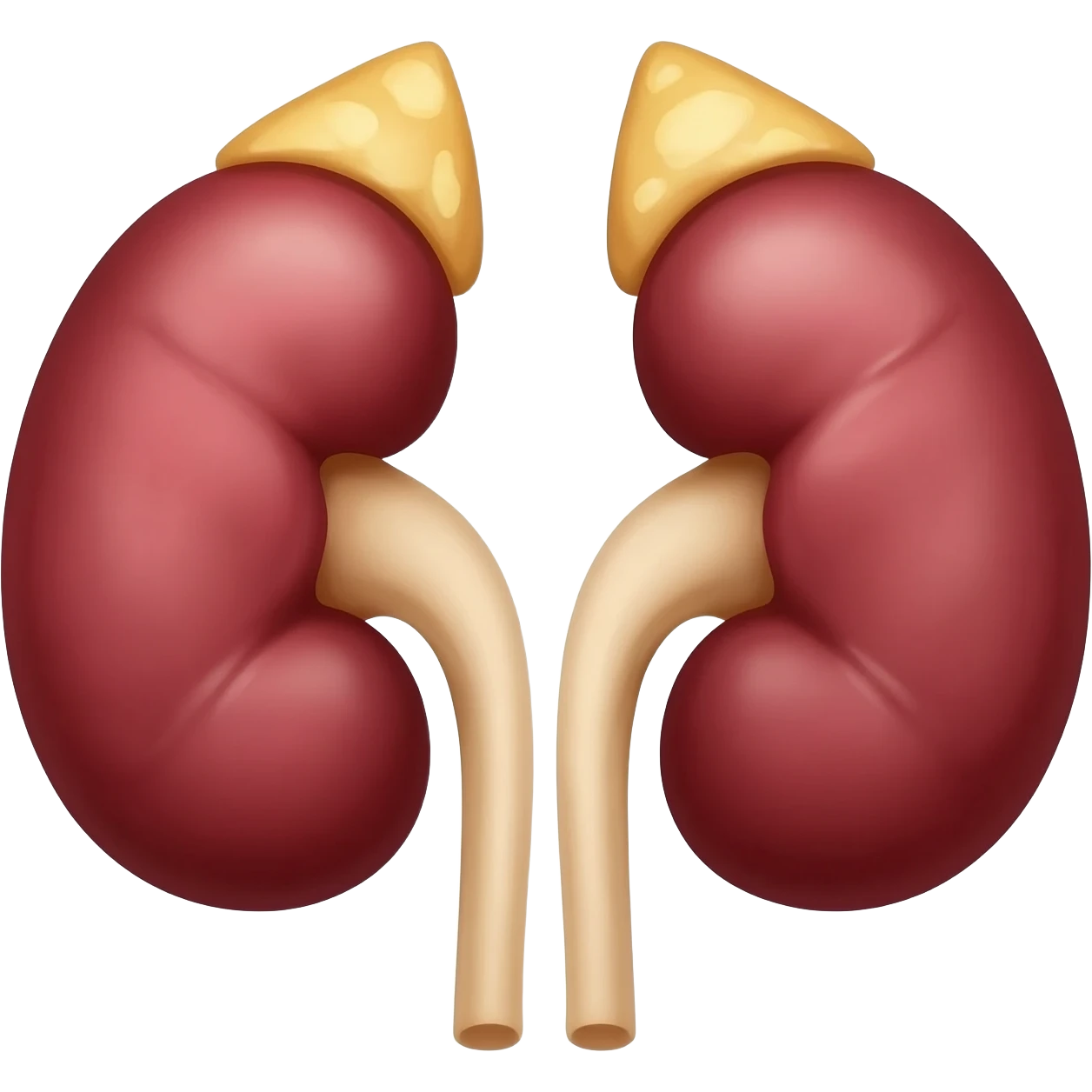 kidneys emoji